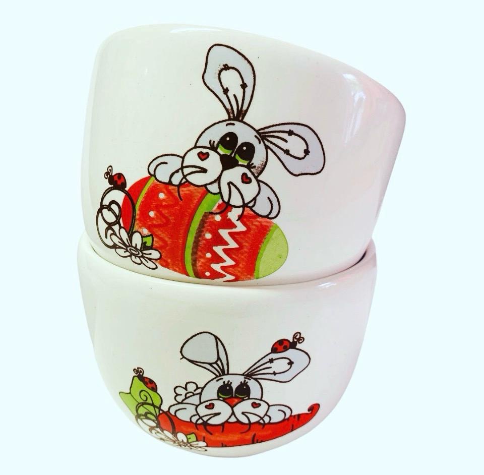 Bowls Conejo y zanahoria X10